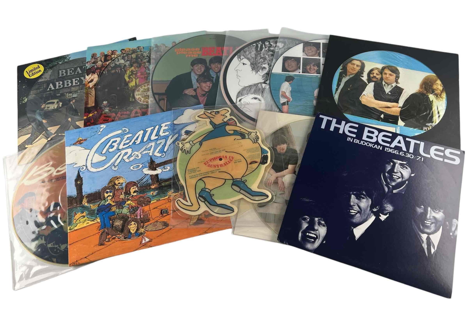 The Beatles, Twelve Picture Disc Records: The Beatles, Twelve Picture Disc Records. Including, The Beatles in Budokan 1966.6.30/7.1 Two Record Set, The Beatles in Australia, Beatles Crazy, The Beatles Abbey Road Session, Revolver, And Now: Th