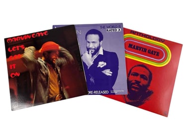 Marvin Gaye, Vinyl Albums & Anthology