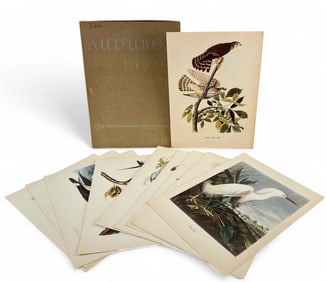 Audubon Birds Of America, Fifty Selections With Commentaries By Roger Tory Peterson