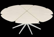 Richard Schultz For Knoll Furniture, Petal Coffee Table