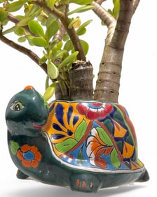 Mexican Figural Turtle Talavera Pottery Planter With Jade Plant