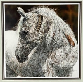 Judy Larson, Medicine Crow, Limited Edition Print