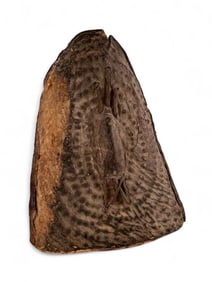 Hide Shield, Kirdi, Fali, Cameroon, 19th Century