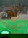 item-210557538=14