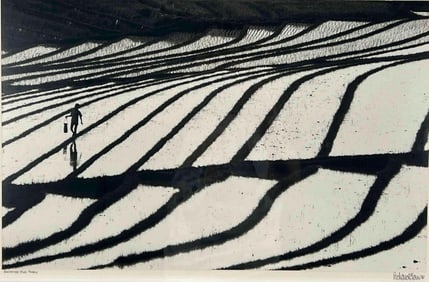 Richard Blair, (American, b. 1948), Balinese Rice Paddy, Photograph
