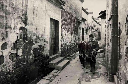 Jo Farrell, Horse, Huchong Sanzhang?Village, Gelatin Silver Print