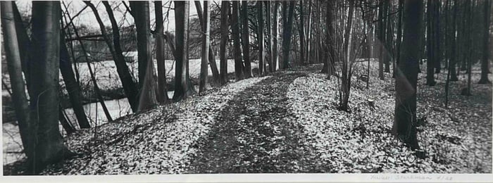Michael Starkman (California, Contemporary), Nedosin, Czech Republic, Silver Gelatin Print