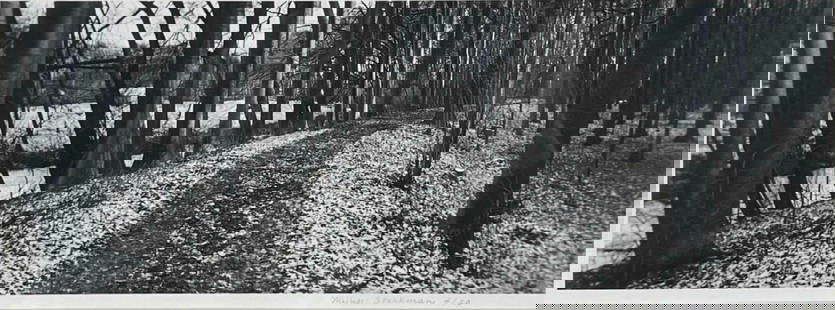 Michael Starkman (California, Contemporary), Nedosin, Czech Republic, Silver Gelatin Print: Michael Starkman (California, Contemporary), Nedosin, Czech Republic, Silver Gelatin Print. 1999 Printing of 1995 negative. Signed lower right. Edition 4/20. As framed approximately 22.75W x 13.125H x