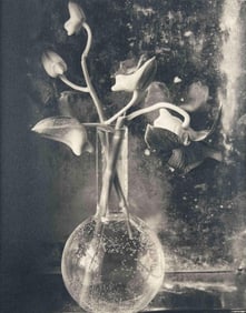 James Pitts, Five Orchids In A Vase, 1994, Palladium Print