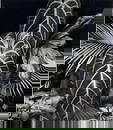 Brett Weston (1911-1993), Leaf Cluster, Hilo, Hawaii, 1978, Gelatin Silver Print