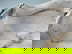 item-210557604=11