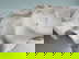 item-210557604=8
