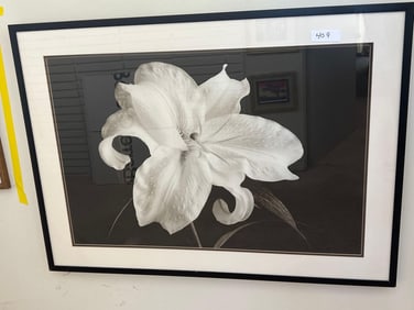 Large Framed Floral Print.