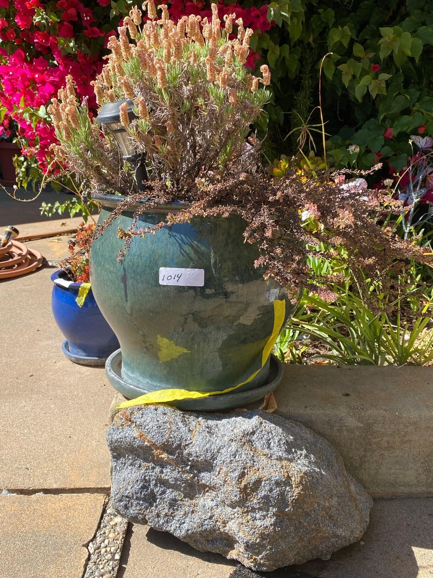 Green Potted Plant With Decorative Stone: No shipping on this lotGreen potted plant with decorative stone