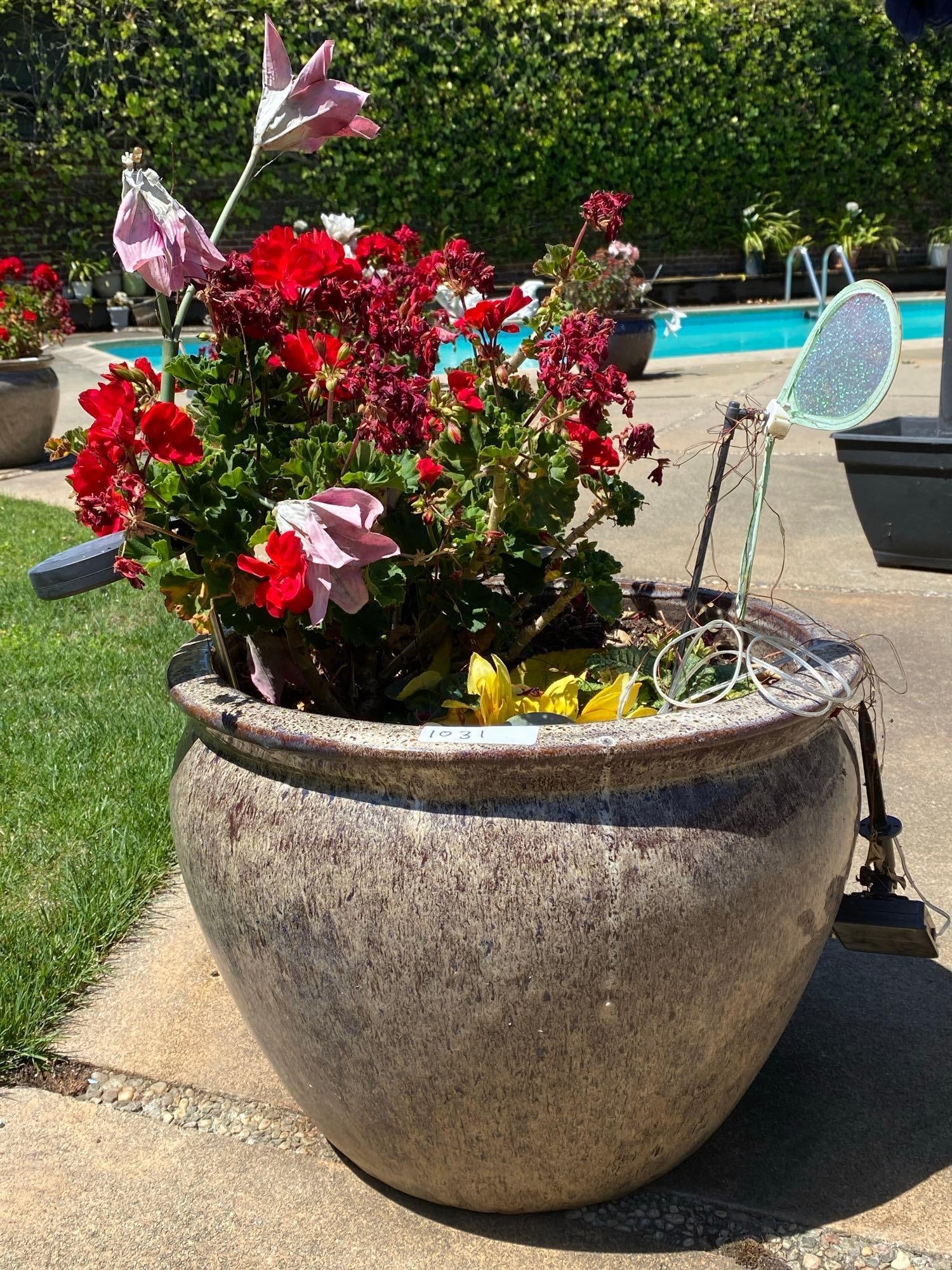 Brown Speckled Ceramic Pot With Geranium Plant: Brown speckled ceramic pot with geranium plant. No shipping available for this lot. Local pickup only.