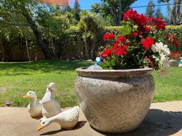 Brown Speckled Ceramic Pot With Plant And Three Ceramic Geese