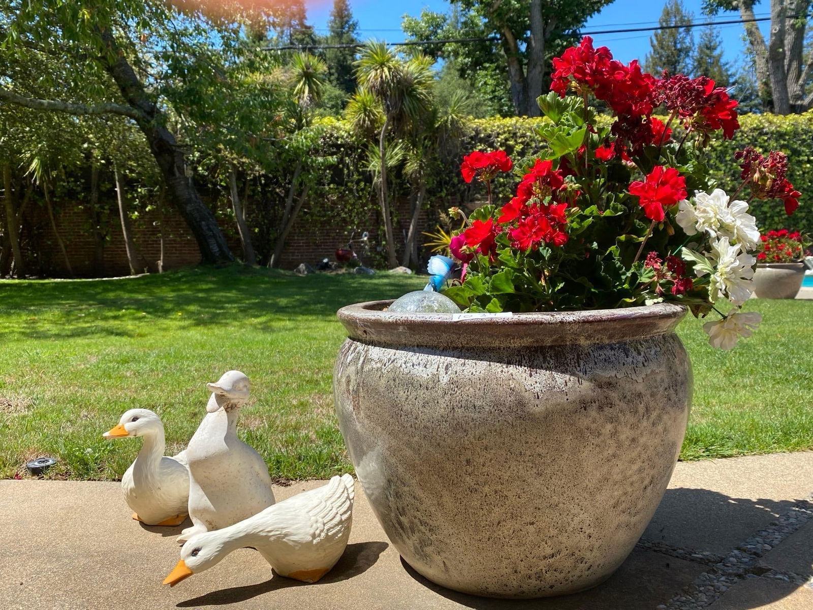 Brown Speckled Ceramic Pot With Plant And Three Ceramic Geese (1 of 3)