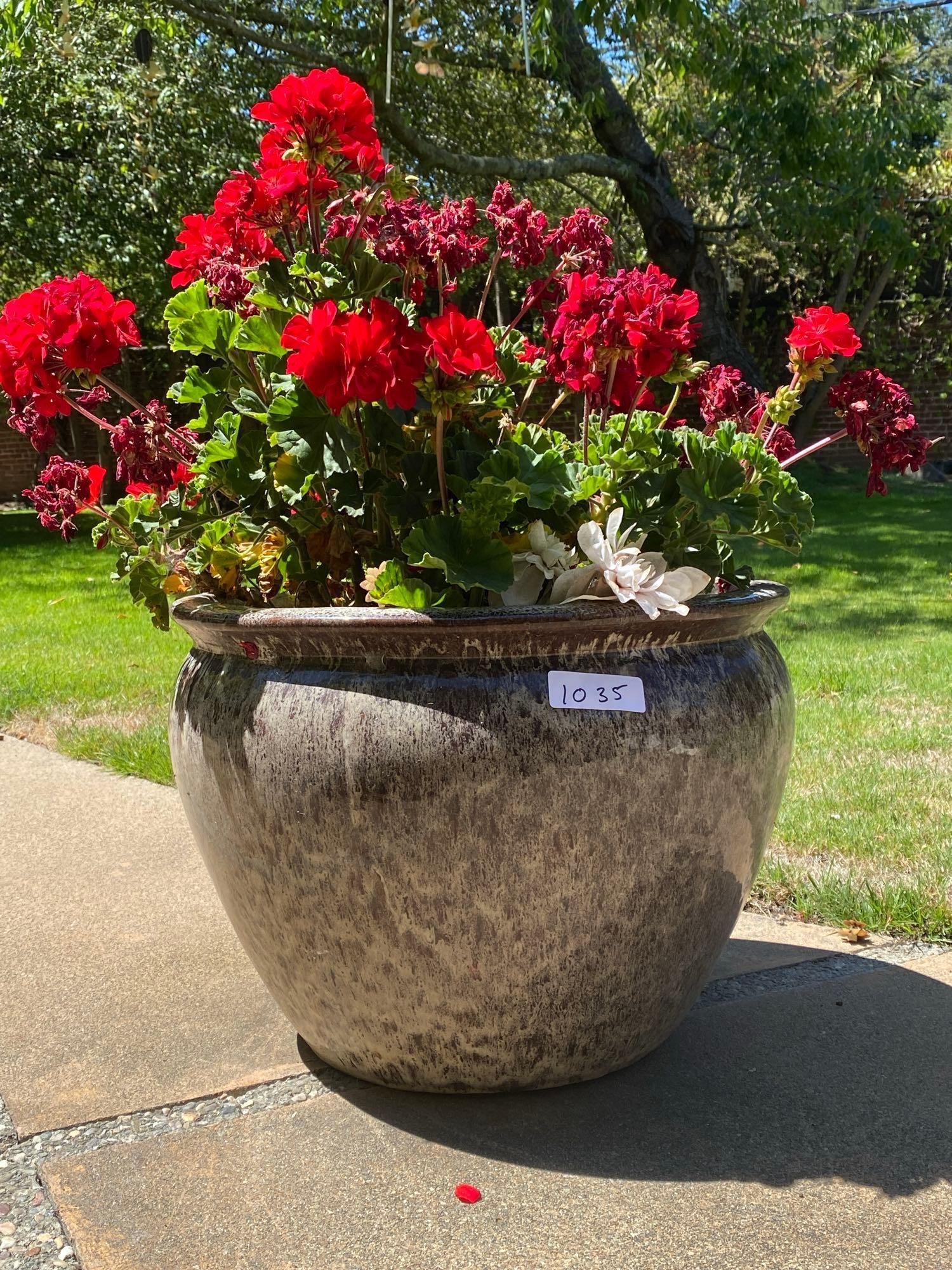 Brown Speckled Ceramic Pot With Geranium Plant: Brown speckled ceramic pot with geranium plant. No shipping available for this lot. Local pickup only.
