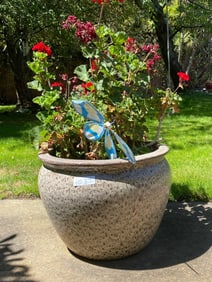 Brown Speckled Ceramic Pot With Geranium Plant