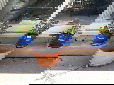 Three Cobalt Blue Ceramic Pots With Terracotta Pot