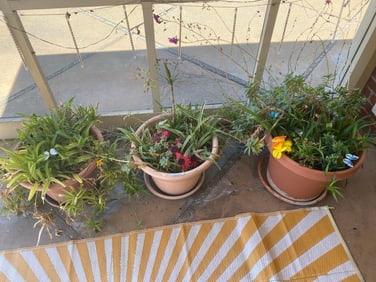 Three Terracotta Colored Plastic Pots With Plants