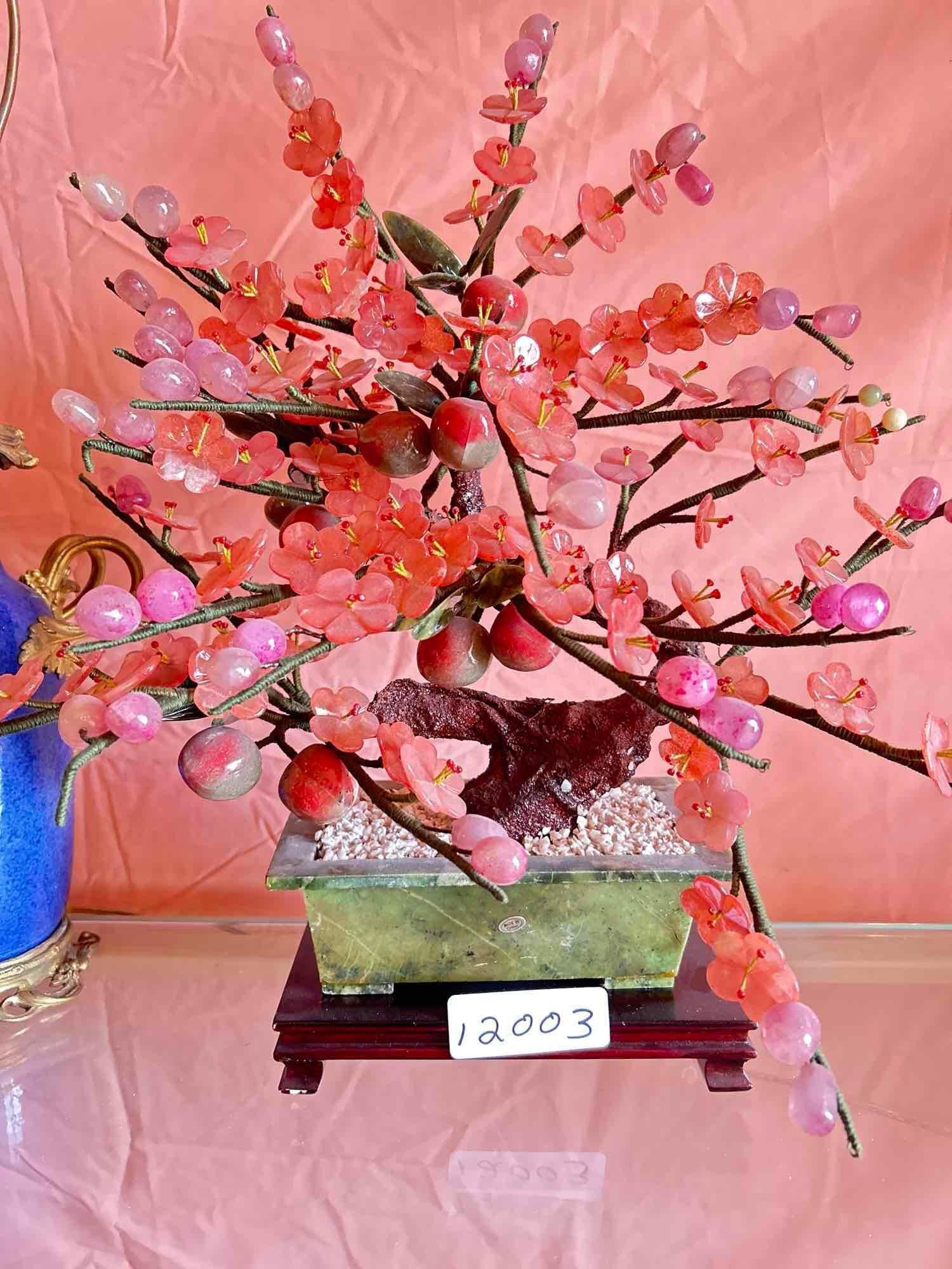 Chinese Jade Tree: Chinese jade tree.