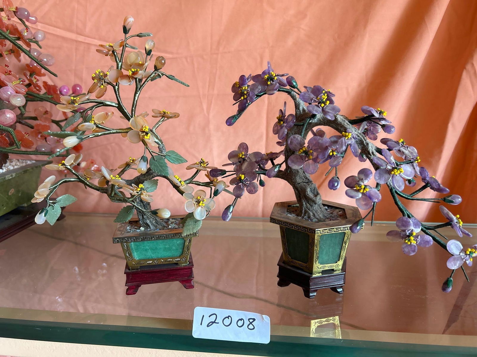 Two Chinese Jade Trees (1 of 4)