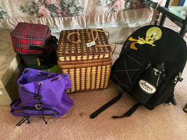 Picnic Basket, Camping Equipment, And Backpacks