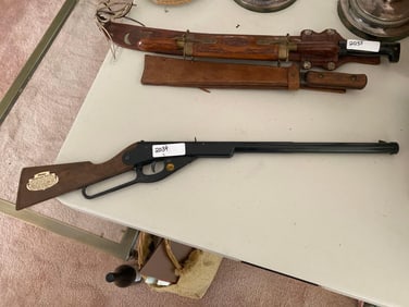 Daisy Bb Gun