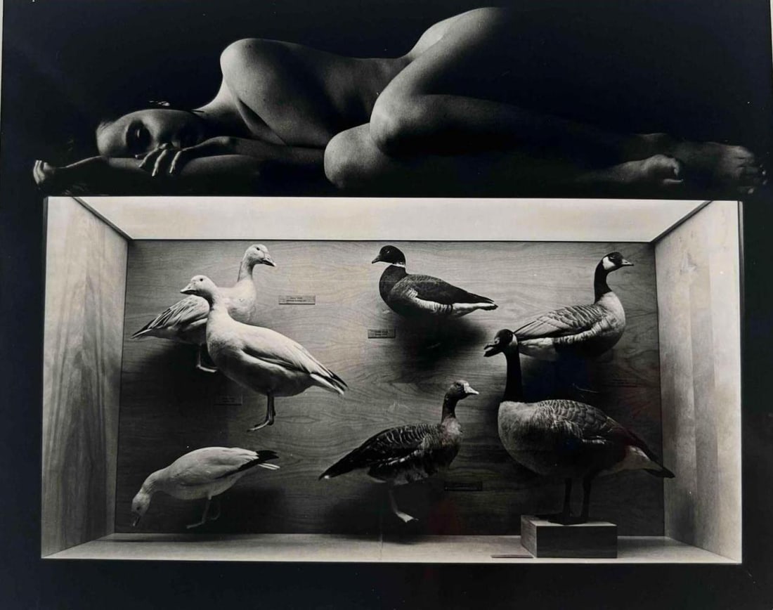 Jerry Uelsmann (1934-2022), Untitled, Surrealist Photograph (1 of 8)
