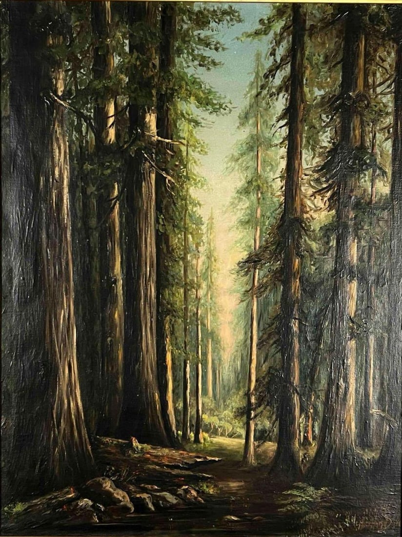 Alice Haigh Dixon (American, 1876-1956), California Redwood Forest, Oil On Canvas: Alice Haigh Dixon (American, 1876-1956), California Redwood Forest, Oil On Canvas. Signed lower right. As framed approximately 30.5H x 24.5W x 2.75D in. Sight approximately 25.5H x 19.375W in.