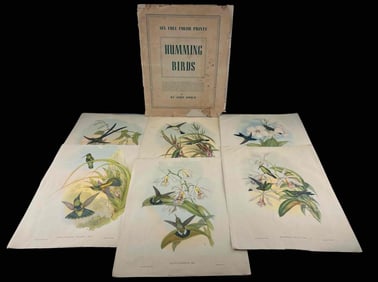 John Gould, Humming Birds, Six Full Color Prints, 1946