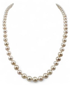 14K Cultured Pearl Necklace