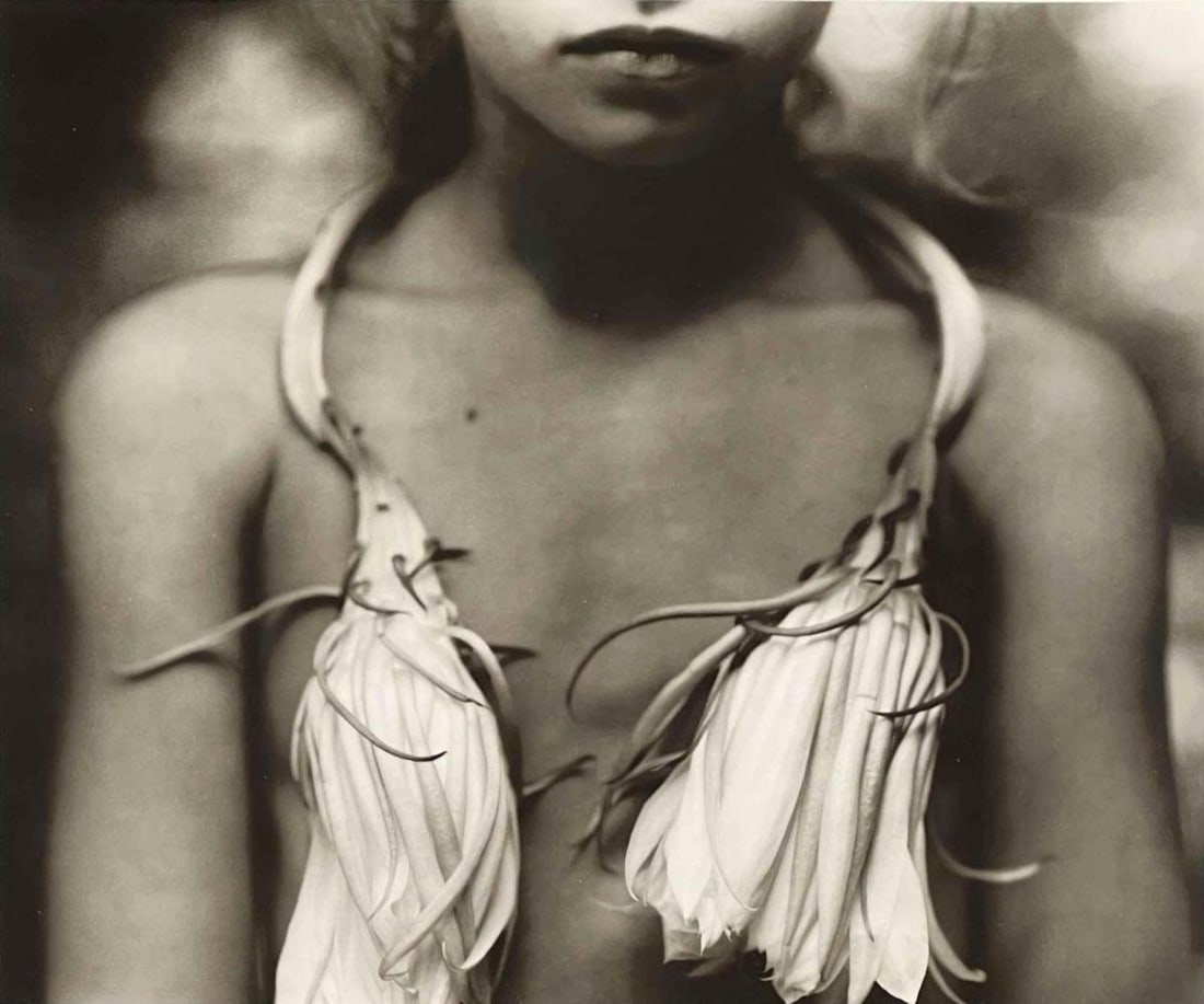 After Sally Mann (American, b. 1951) Night Blooming Cereus, Photogravure: After Sally Mann, Night Blooming Cereus, sheet-fed photogravure, after the 1984 negative, printed 1989 by Aperture Foundation Inc. Unsigned. Accompanied by certificate of authenticity from White Knigh