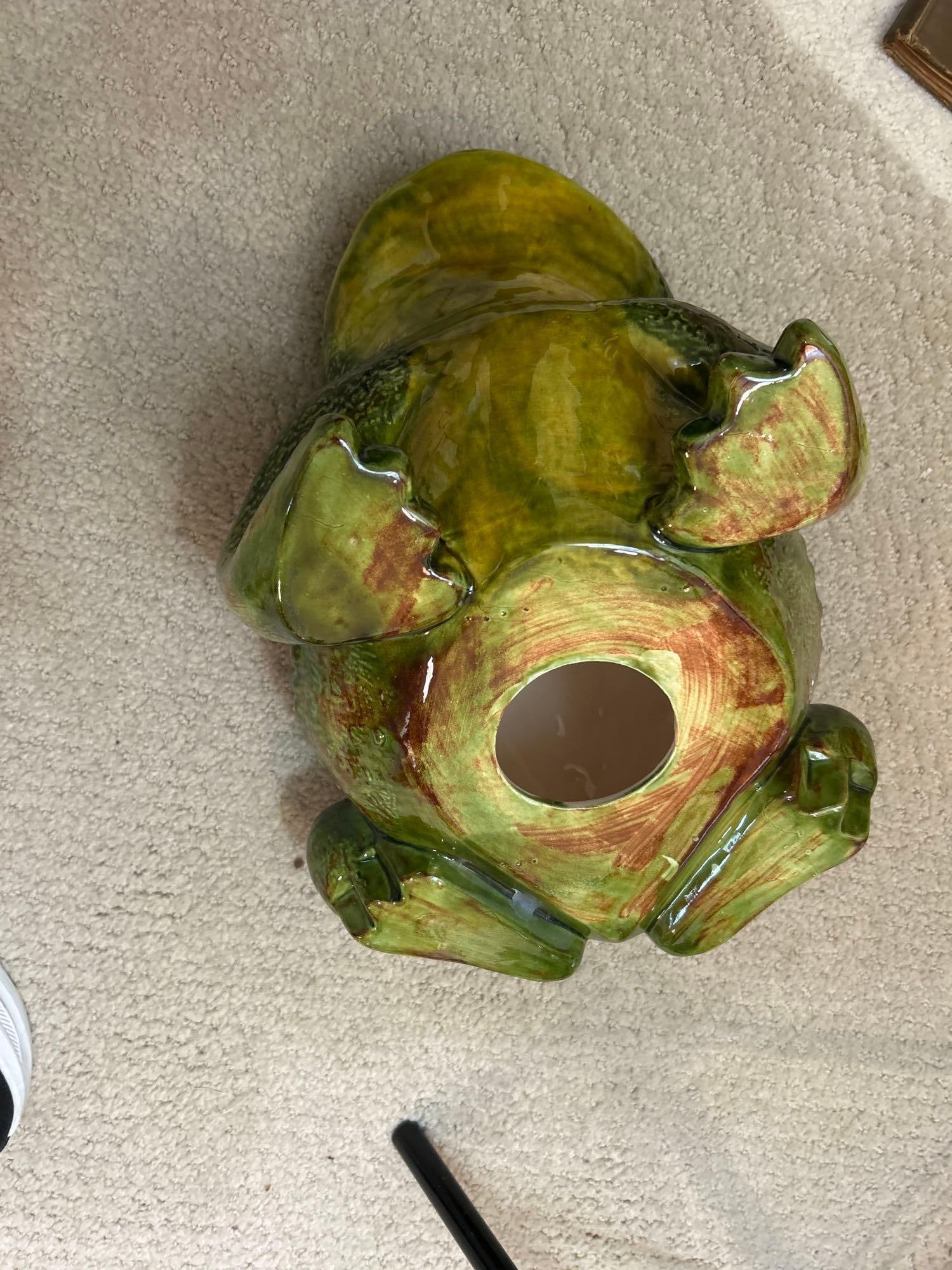 Large Ceramic Frog - 5
