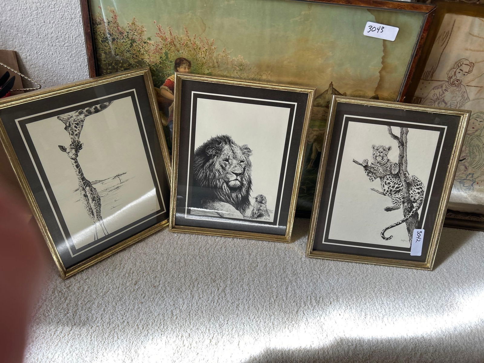Three Black & White Animal Prints: Three black & white animal prints. Each approximately 15 x 12 in.