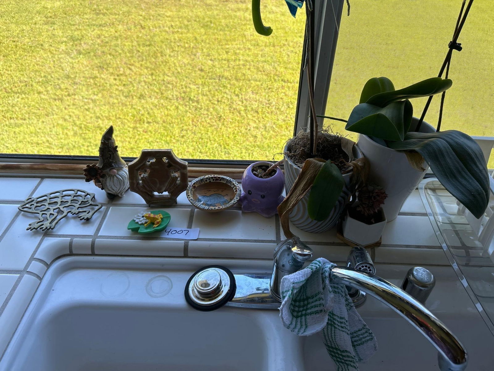 Orchid Plants, Dish Strainer, And More: Orchid plants, dish strainer, and more.