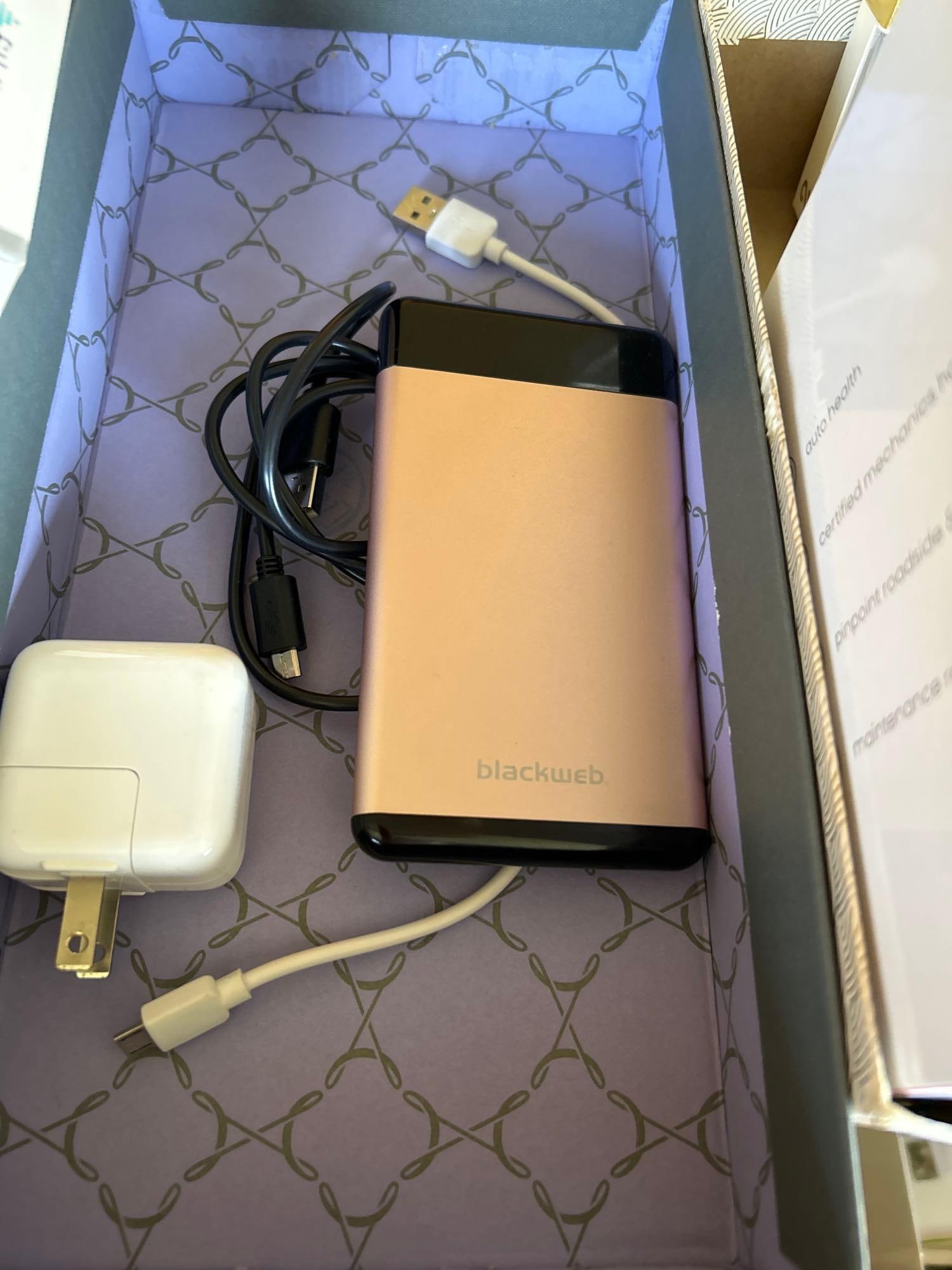 Battery Backup Brick And Cables: Battery backup brick and cables.