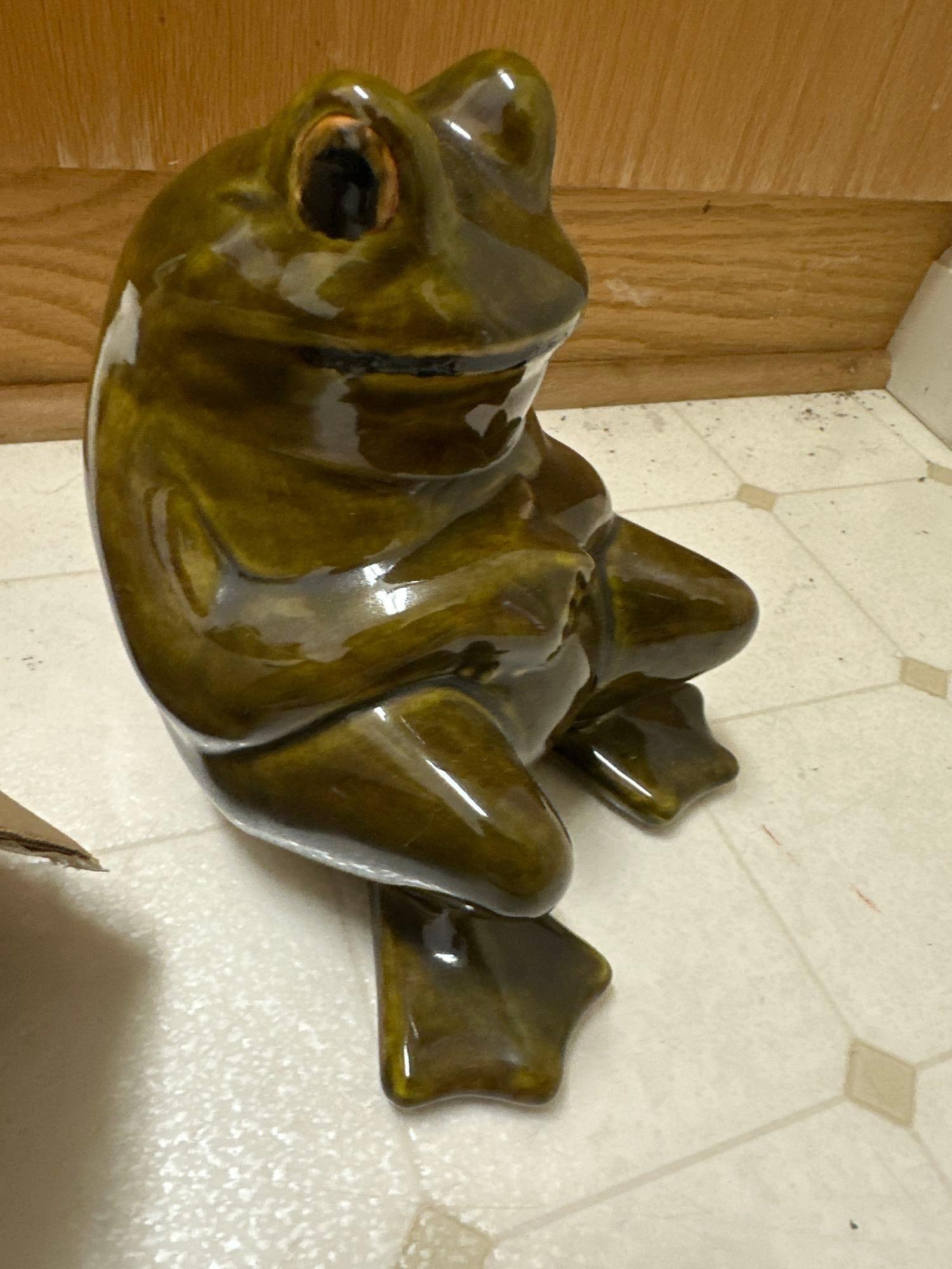 Frog Themed Home Decor - 2