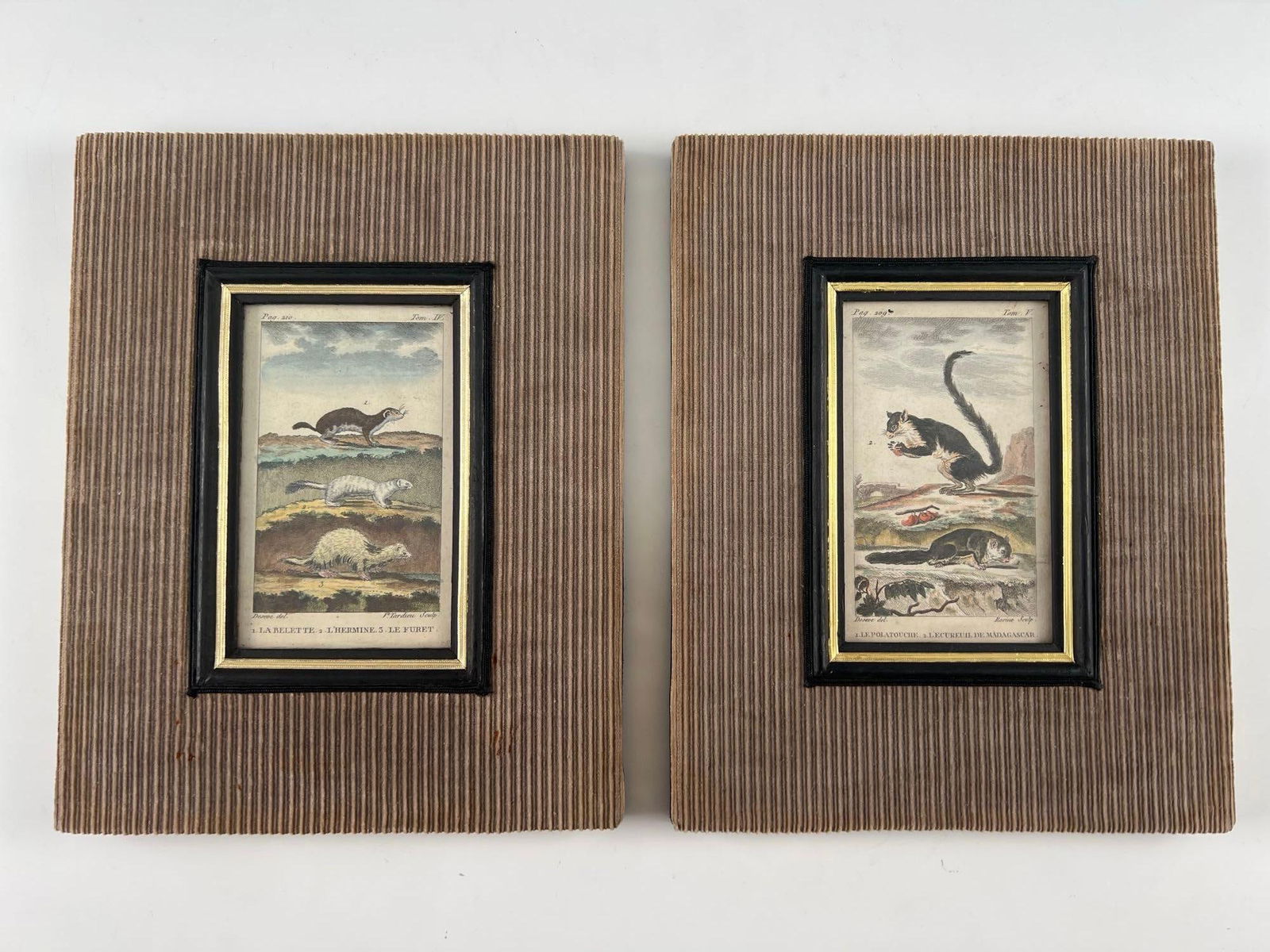 Two Antique French Hand Colored Engravings: Two Antique French Hand Colored Engravings. Each, as framed, approximately 9.0H x 7.0W in. Images approximately 3.875H x 2.375W in. and 3.75H x 2.375W in.