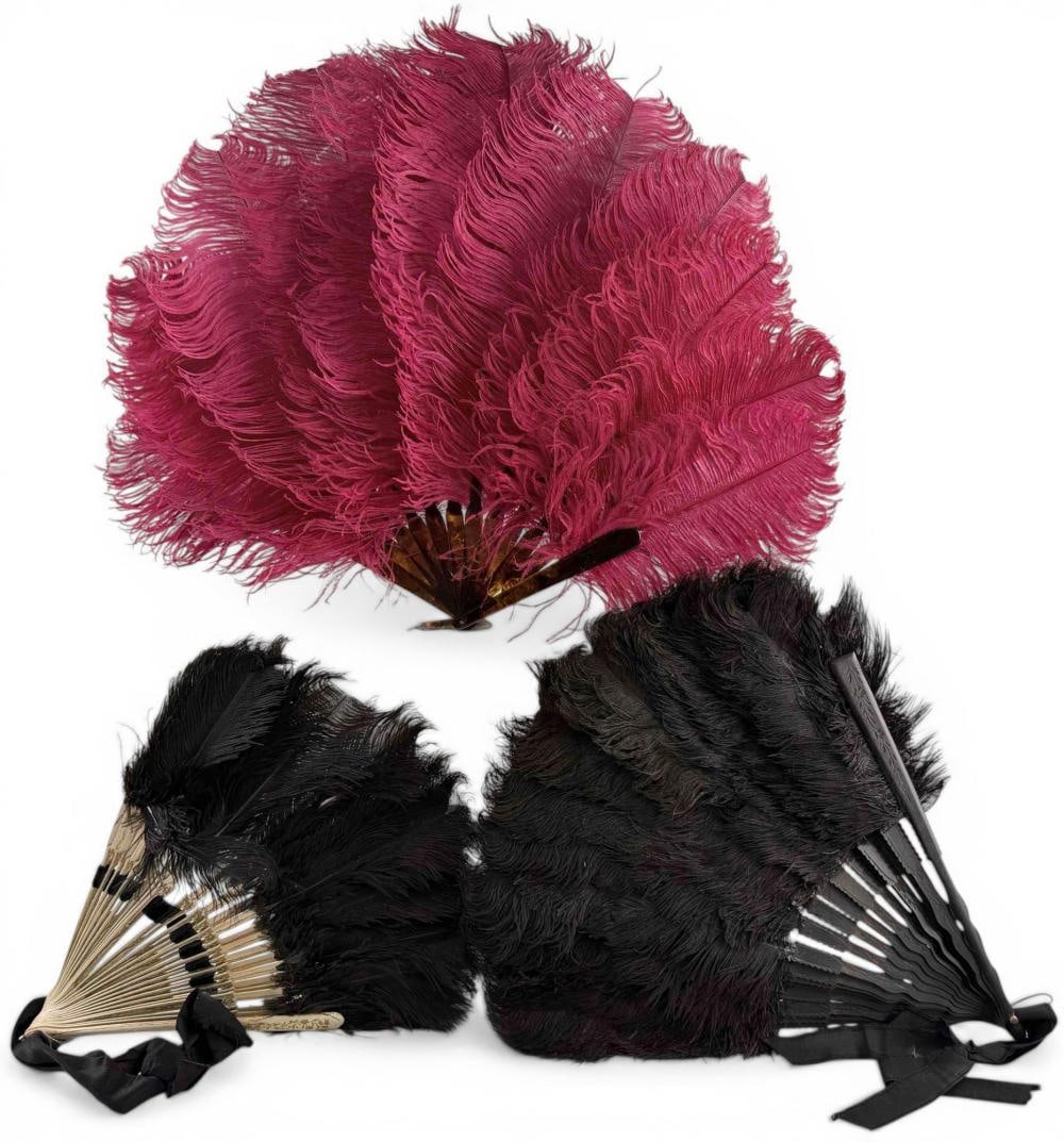 19th-20th C. Ostrich Feather Folding Fans (1 of 15)