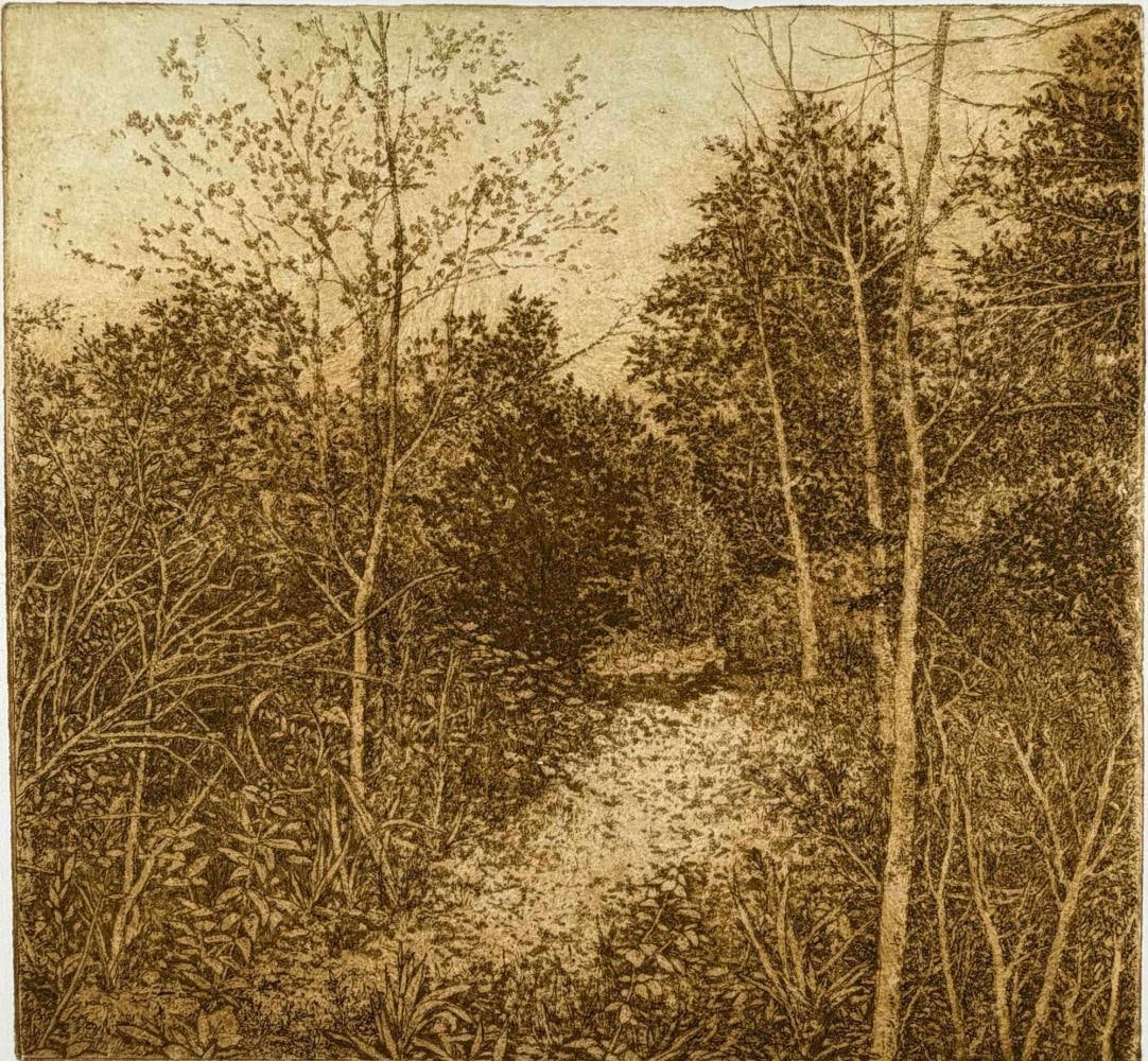 Gillian Pederson-Krag (American, b. 1938), Landscape, Signed Etching (1 of 10)