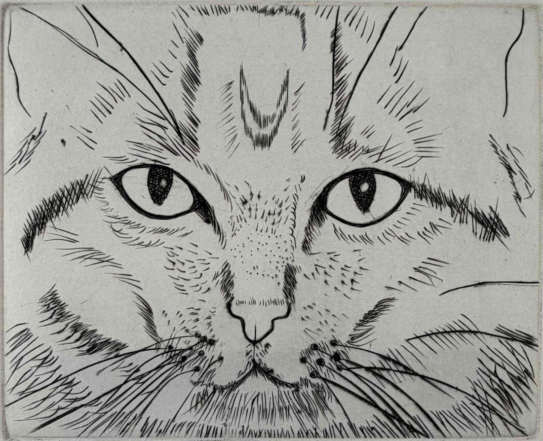Beth Van Hoesen (American, 1926-2010), Cat Face, Engraving With Dry Point (1 of 7)
