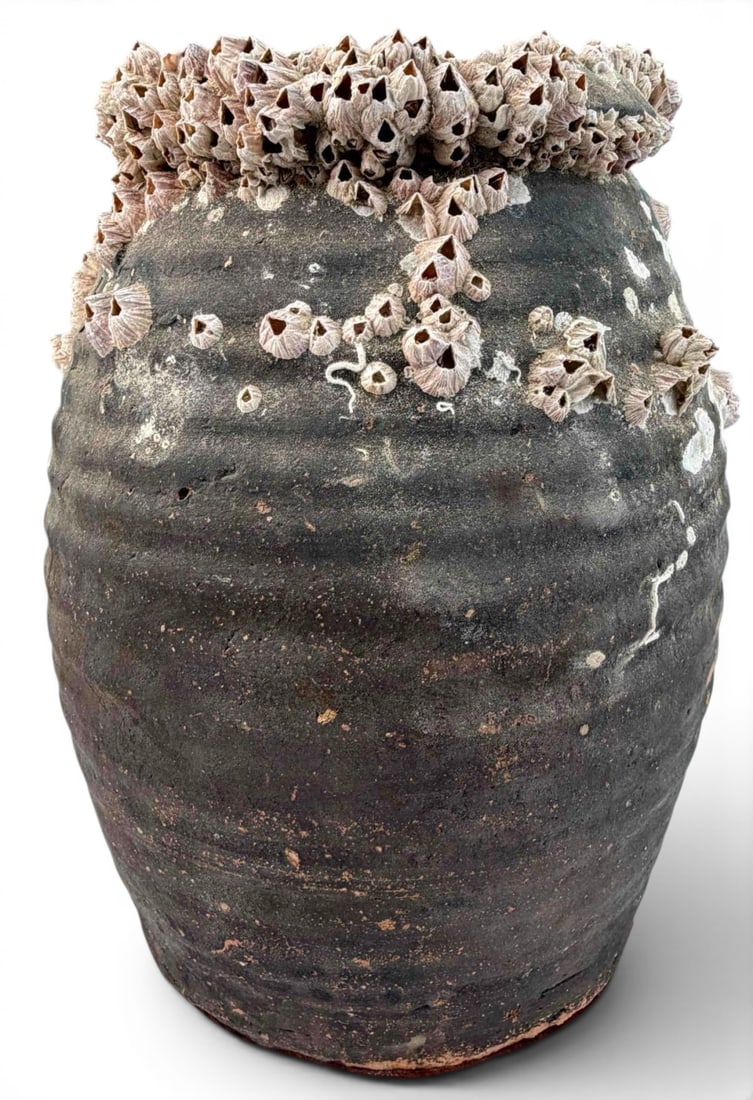 Japanese Barnacle Encrusted Takotsubo Octopus Trap (1 of 14)