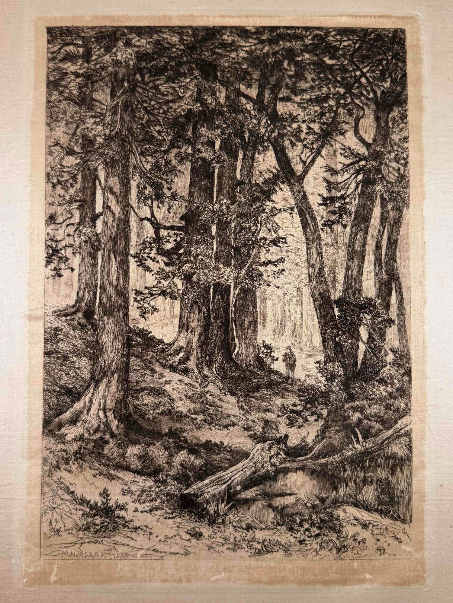 Mary Nimmo Moran (1842-1899), Interior Of A California Forest, Etching On Silk (1 of 13)