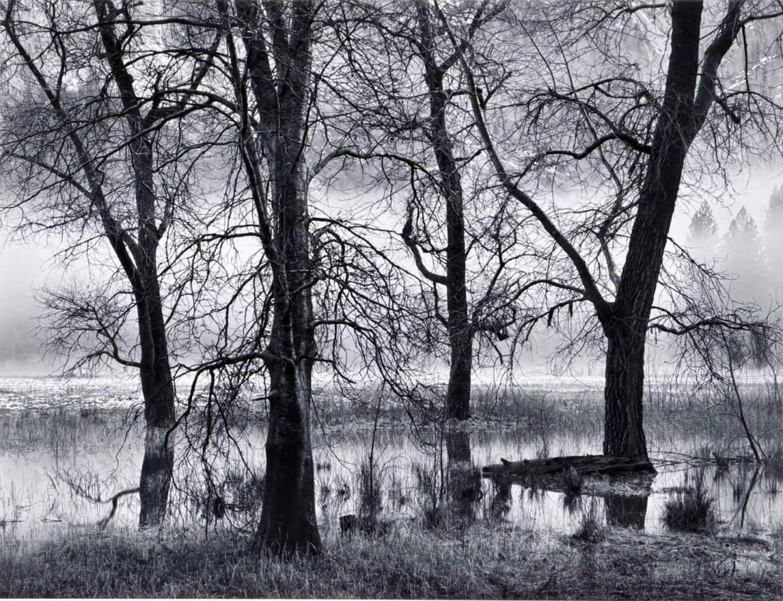 John Sexton (American, b. 1953), Trees, Valley Fog, Yosemite Valley, Gelatin Silver Print (1 of 15)