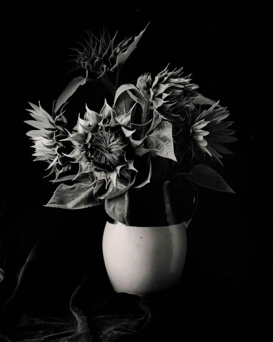 Paul Caponigro (American, 1932-2024), Sunflower Vase, New York, Special Edition Gelatin Silver Print: Paul Caponigro (American, 1932-2024), Sunflower Vase, New York, 1969, Special Edition Gelatin Silver Print, 1992 Printing. Pencil signed and editioned '11/75' on mount. Stamp on verso marked "Special 