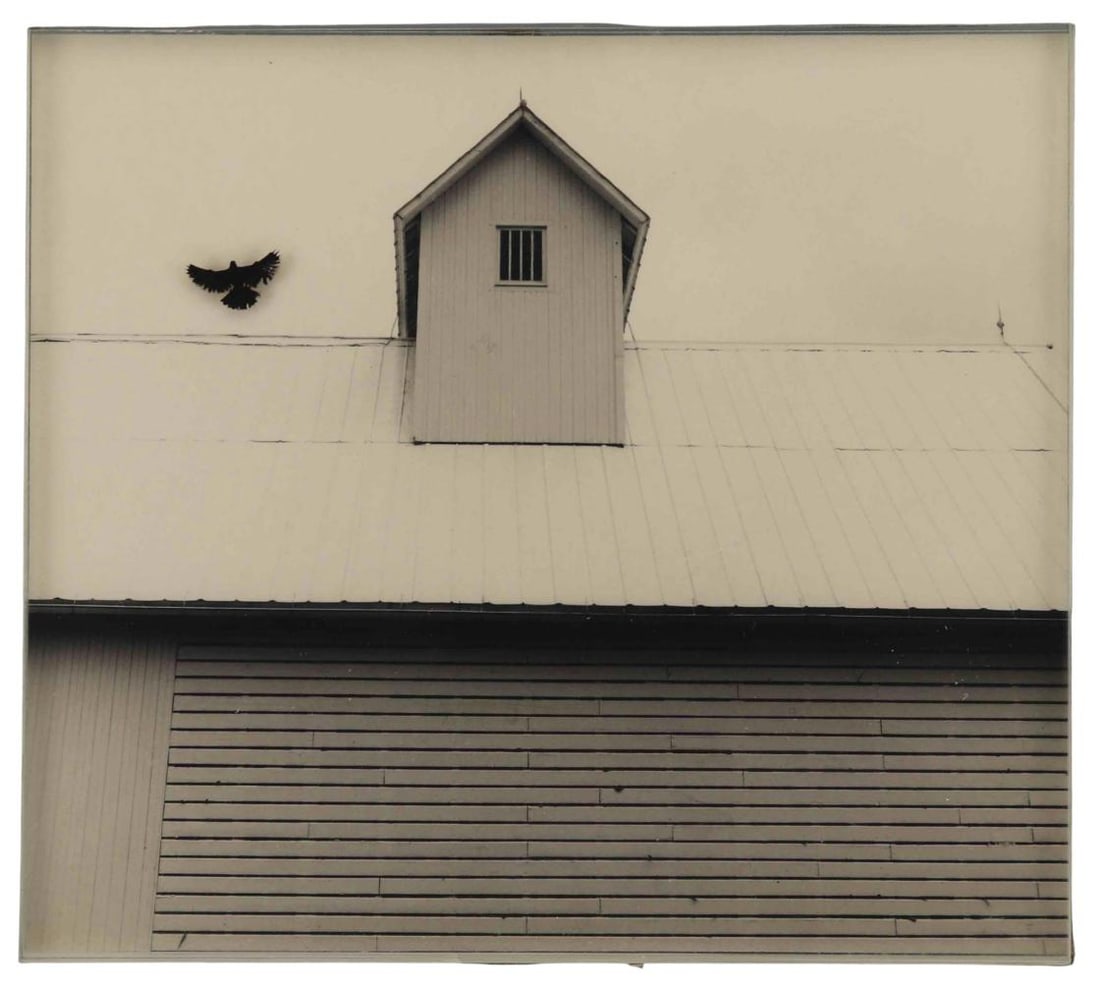 Douglas Prince (American, b. 1943), Untitled (Bird With Roof), Photo-Sculpture (1 of 4)