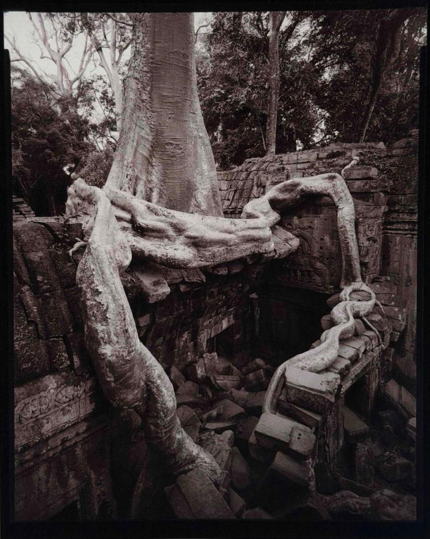 Linda Connor (American, b. 1944), Untitled, Photographic Print (1 of 6)