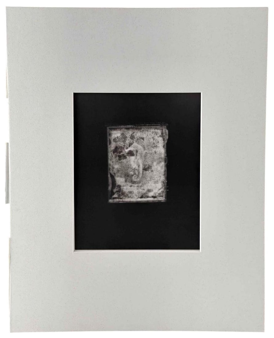 Akira Kitajima (Japanese, 20th/21st C.), Untitled (Seahorse), 1991, Toned Gelatin Silver Print - 2